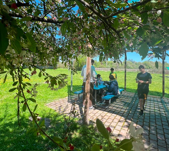 Secondary Hero Background