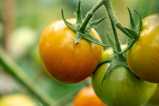 Secondary Hero Background