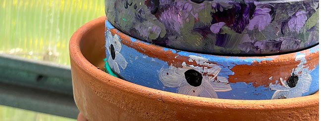 Photo Text Panel Image