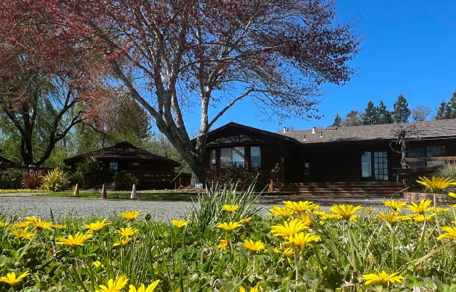 Photo Text Panel Image