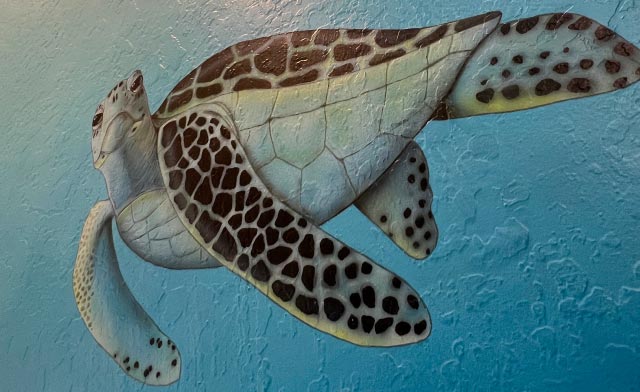 Photo Text Panel Image