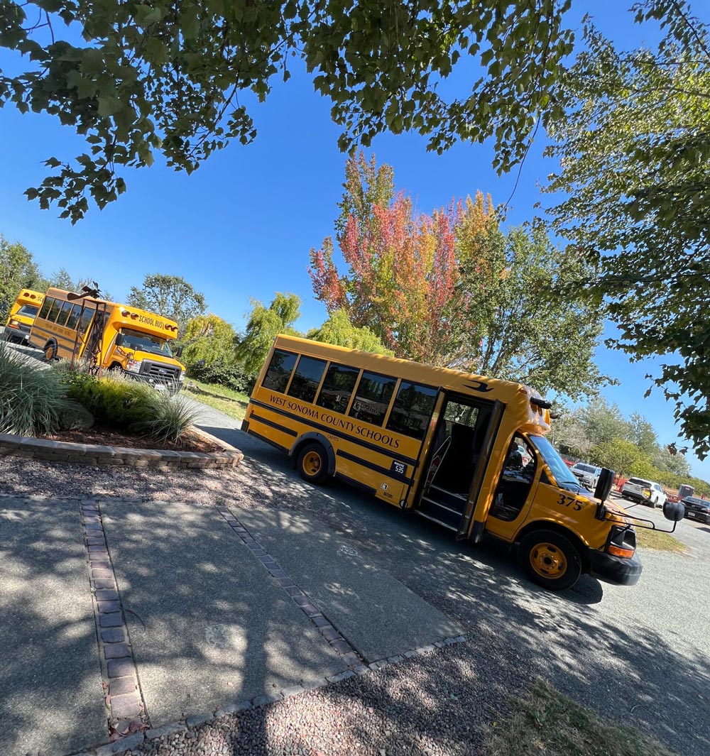 Photo Text Panel Image